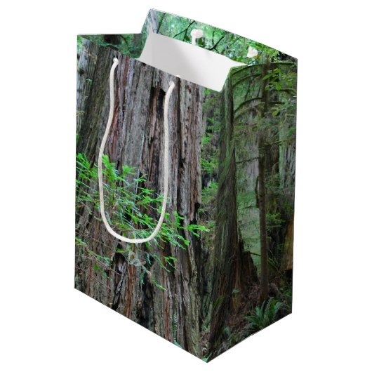 The Redwood - Sequoia Medium Cadeauzakje (Achterkant Gekanteld)