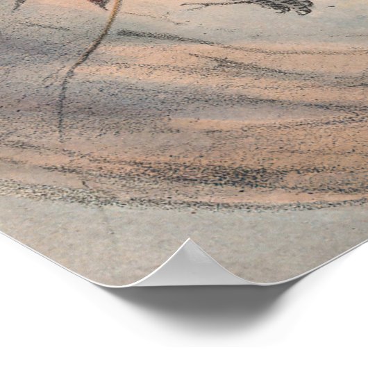 The Rhinoceros Hornbill by Joseph Wolf Poster (Hoek)