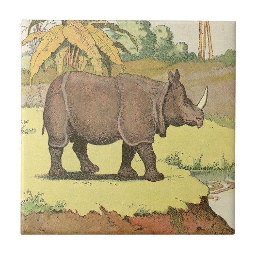 The Rhinoceros Storybook Tegeltje (Voorkant)