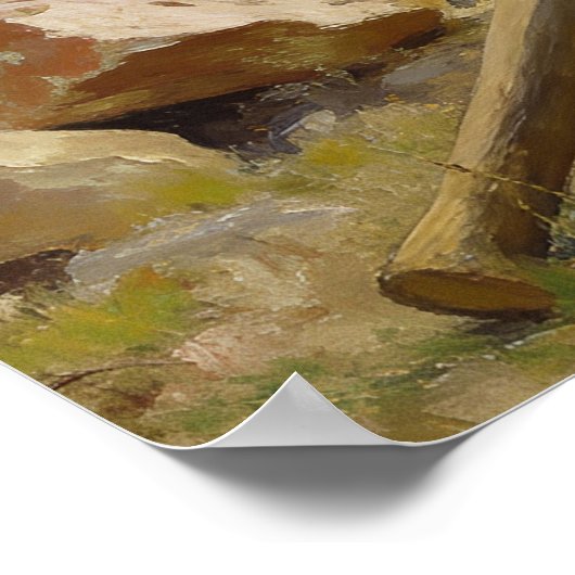 The Rock Collector Poster (Hoek)