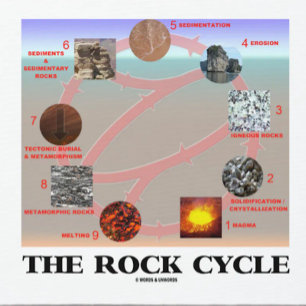 The Rock Cycle (Geology Earth Science) Muismat