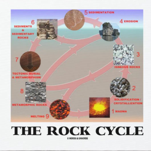 The Rock Cycle (Geology Earth Science) Muismat