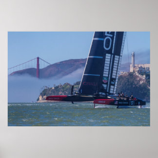 The Rock The comeBack Collectie Poster