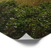 The Rolling Hills of Ignacio Poster (Hoek)
