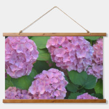 The roze Hortensia hydrangea Flowers