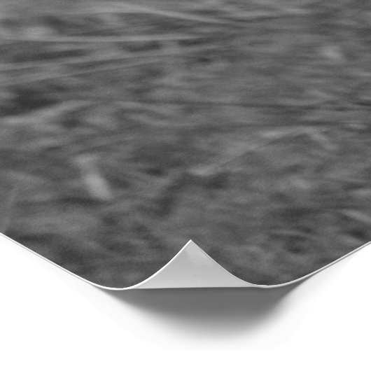 The Running of The Ducks Poster (Hoek)