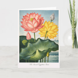 The Sacred Egyptian Bean — Modern Botanical Kaart