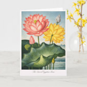 The Sacred Egyptian Bean — Modern Botanical Kaart (Gele Bloem)