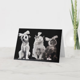 The Sad Trio, Blank Inside Kaart