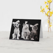 The Sad Trio, Blank Inside Kaart (Gele Bloem)