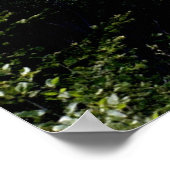 The Salmon River Bridge, Guysborough Co., N.S. Poster (Hoek)