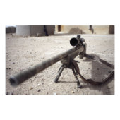 The Schmidt & Bender M-854155 DS Foto Afdruk (Voorkant)