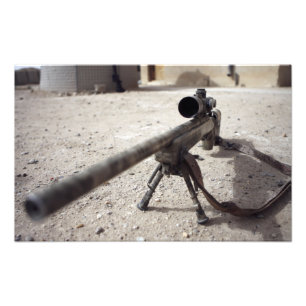 The Schmidt & Bender M-854155 DS Foto Afdruk