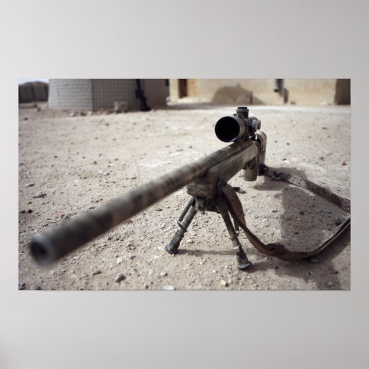 The Schmidt & Bender M-854155 DS Poster (Voorkant)