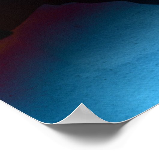 The Scribe Poster (Hoek)