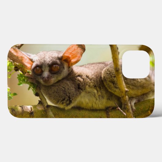 The Senegal Bushbaby Case-Mate iPhone Case (Achterkant (horizontaal))