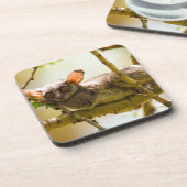 The Senegal Bushbaby Onderzetter (Linkerzijde)