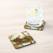 The Senegal Bushbaby Onderzetter (Rechterzijde)