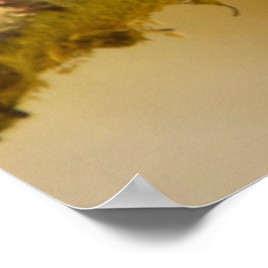 The Senegal Bushbaby Poster (Hoek)