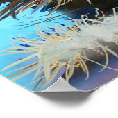 The set of cats portraitsart,portrait,animal,abstr poster (Hoek)