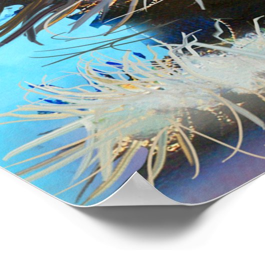 The set of cats portraitsart,portrait,animal,abstr poster (Hoek)