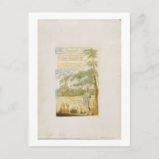 "The Shepherd", bord 15 uit "Sangen of Innocence" Briefkaart (Voorkant)