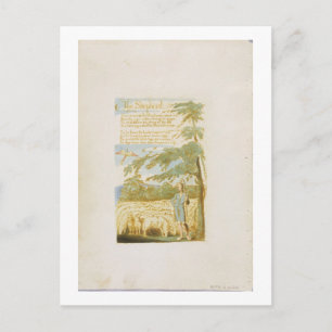 "The Shepherd", bord 15 uit "Sangen of Innocence" Briefkaart