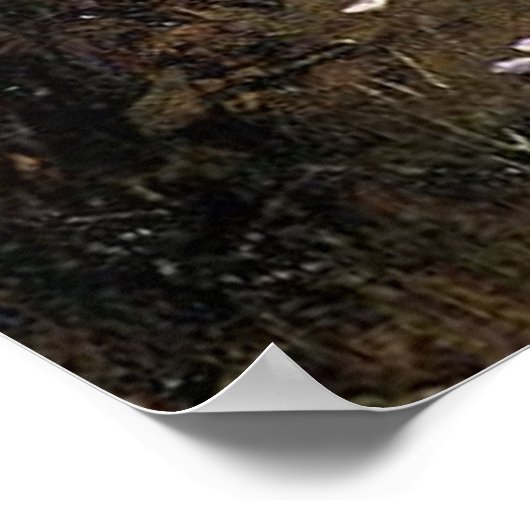 The Shrine, door John William Waterhouse - 1895 Poster (Hoek)