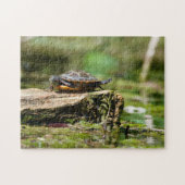 "The Shy Turtle" 252 Piece Jigsaw Puzzle Legpuzzel (Horizontaal)