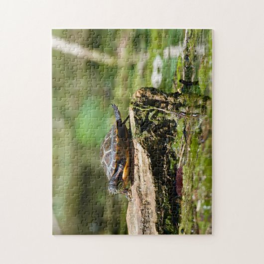 "The Shy Turtle" 252 Piece Jigsaw Puzzle Legpuzzel (Verticaal)