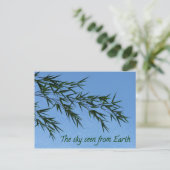 The sky seen from earth briefkaart (Staand voorkant)