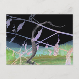 "The Snake's Farewell" transformeerde snakeskin Briefkaart