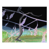 "The Snake's Farewell" transformeerde snakeskin Foto Afdruk (Voorkant)