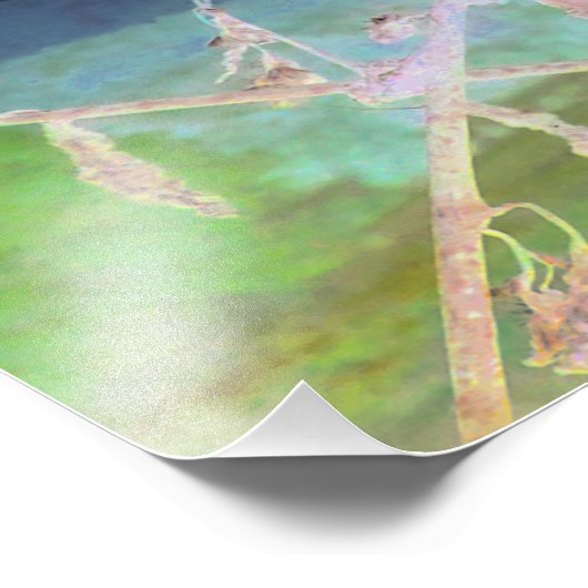 "The Snake's Farewell" transformeerde snakeskin Foto Afdruk (Hoek)