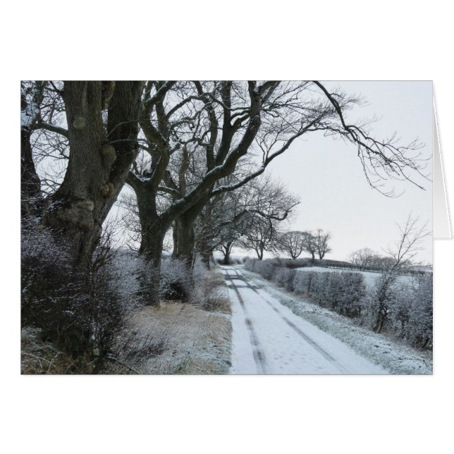 "The Snowy Lane" Northumberland England (Voorkant Horizontaal)