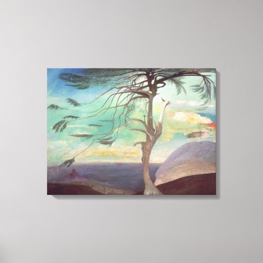 The Solitary Cedar, 1907 Canvas Afdruk (Voorkant)