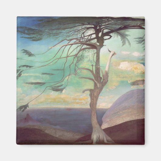 The Solitary Cedar, 1907 Magneet (Voorkant)