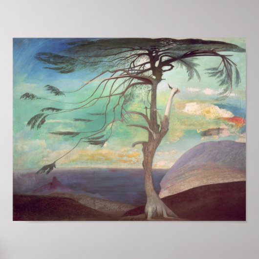 The Solitary Cedar, 1907 Poster (Voorkant)