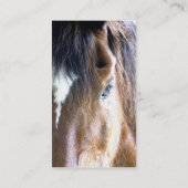 ©The Soul Equine/Horse Related Business Visitekaartje (Achterkant)