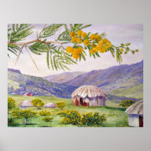 The South African Doornboom and Fingo Huts