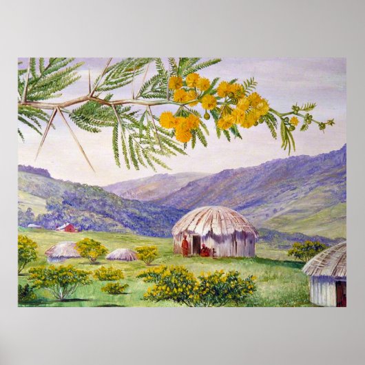The South African Doornboom and Fingo Huts Poster (Voorkant)