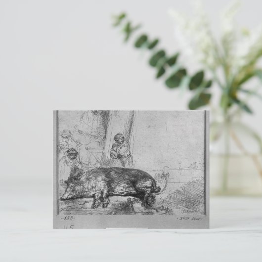 The Sow, 1643 Briefkaart (Staand voorkant)