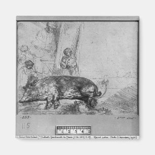 The Sow, 1643 Magneet