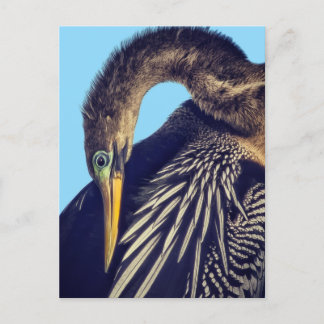 "The Spearfisher" briefkaart