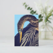 "The Spearfisher" briefkaart (Staand voorkant)