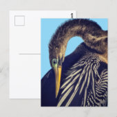 "The Spearfisher" briefkaart (Voorkant / Achterkant)