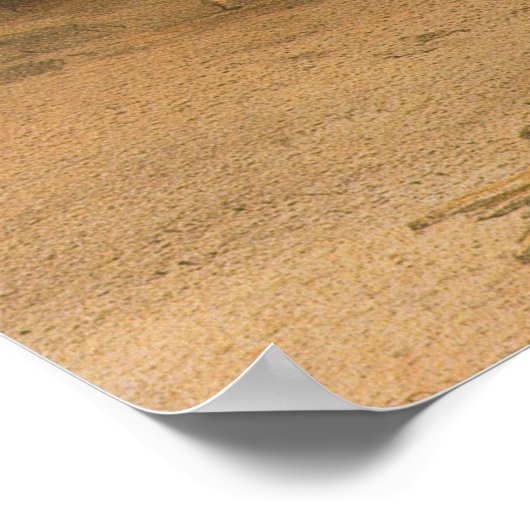 The Sphinx at Giza Poster (Hoek)