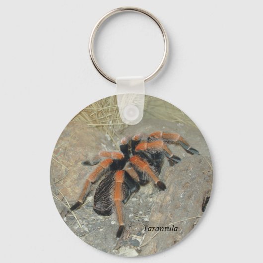 The Spider pix, Tarantula Sleutelhanger (Voorkant)