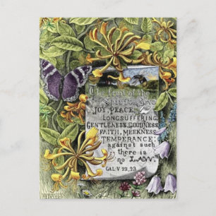 The Spirit Briefkaart