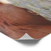 THE SQUIRREL (Sciurus vulgaris) Poster (Hoek)